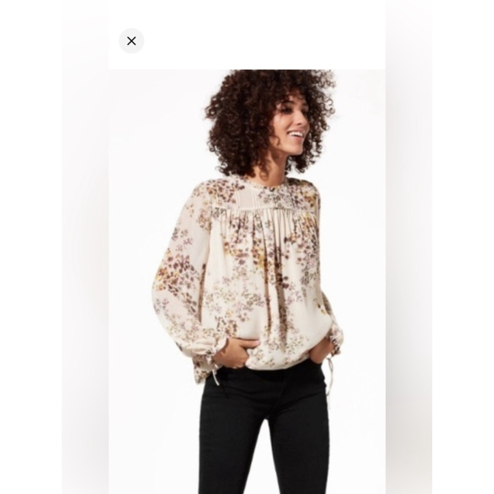 aritzia Wilfred Floral Sheer Blouse Romantic Prairie Top Size XS